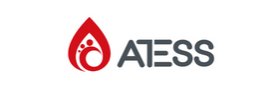 Shenzhen ATESS Power Technology